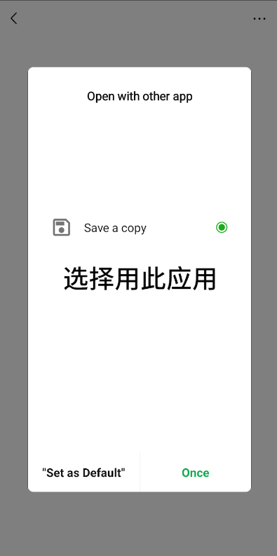 保存副本