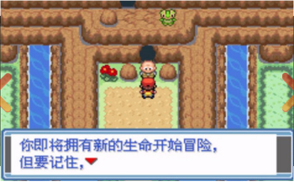 口袋妖怪永恒之焱xyz神兽版
