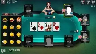 JJ德州扑扑克官网版 v3.5.0