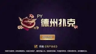 JJ德州扑扑克游戏界面