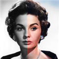 Colorize Images(老照片修复应用)