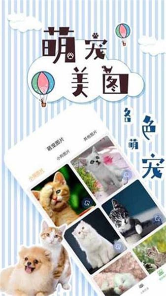 人猫翻译交流器app