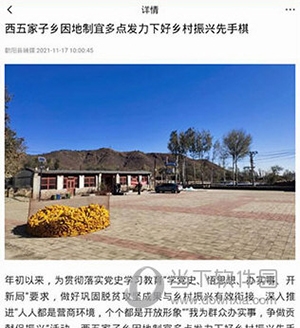 掌上朝阳怎么阅读文章3