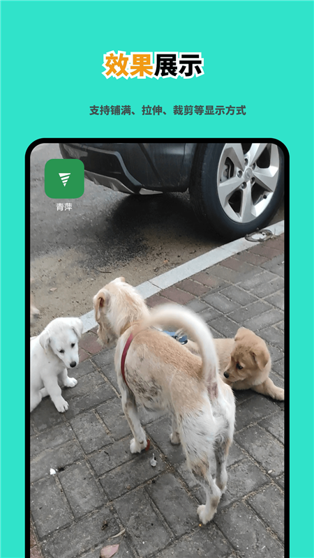 青萍APP1
