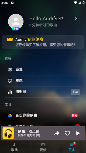 Audify音乐播放器纯净版宣传图
