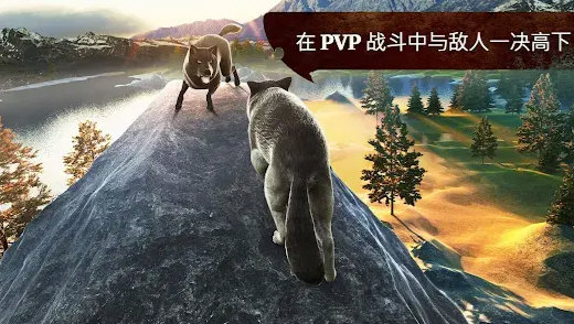 游戏技巧配图3
