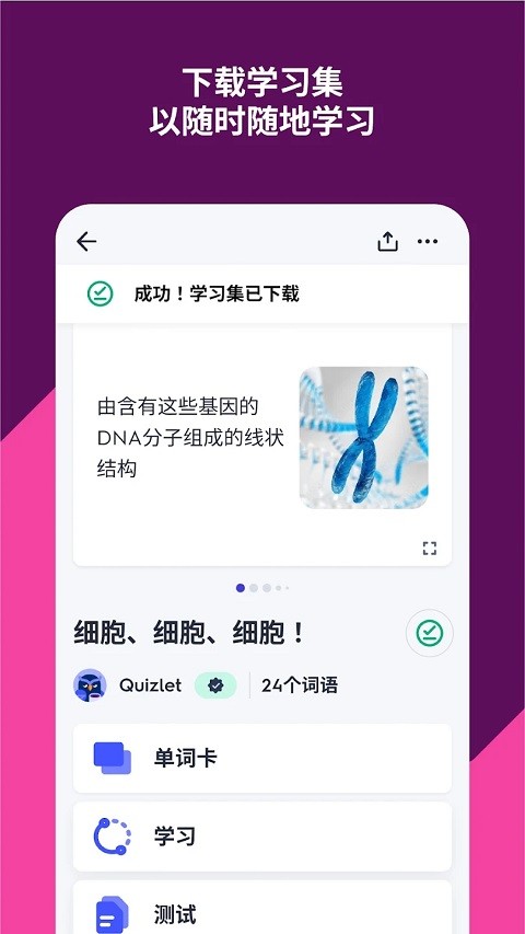 quizlet正版