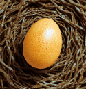 蛋之旅Egg Journey最新官方