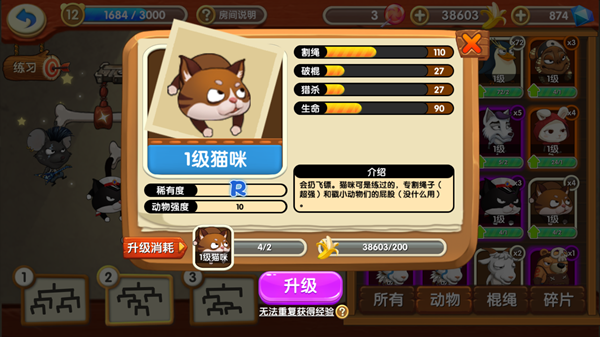 动物介绍配图8