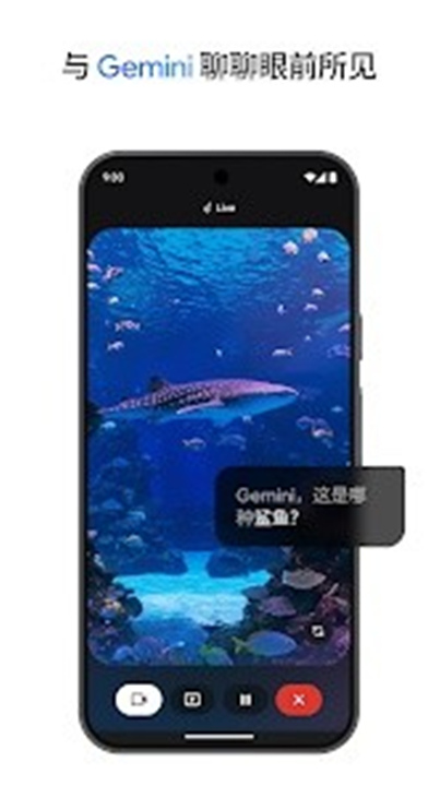 NanoBanana2手机版