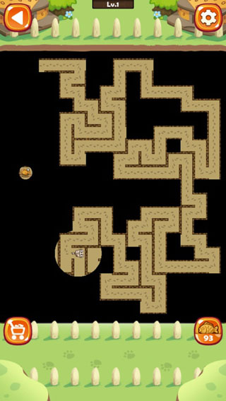 迷宫猫(Maze Cat)