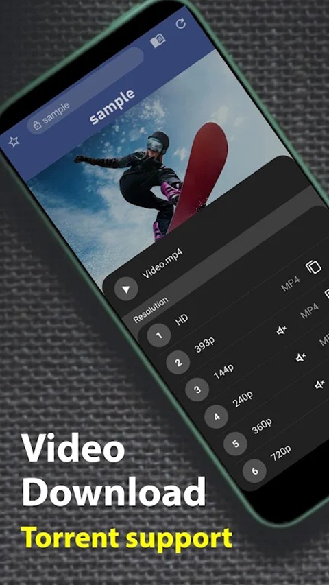 Soul Browser专业版