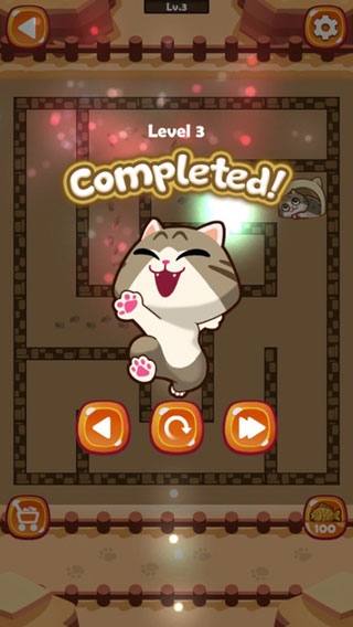 迷宫猫(Maze Cat)