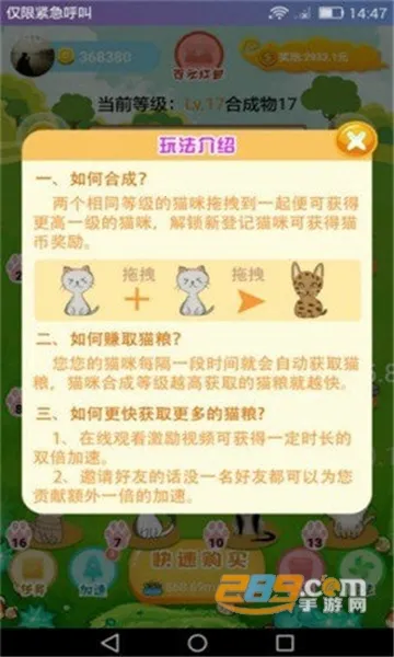 萌猫派对联机版