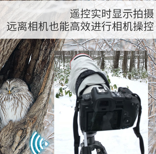camera connect佳能相机app安卓版下载