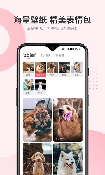 68宠物定位器(图4) 68宠物定位器(图4)