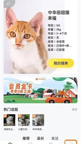 附近有喵领养平台(图1) 附近有喵领养平台(图1)