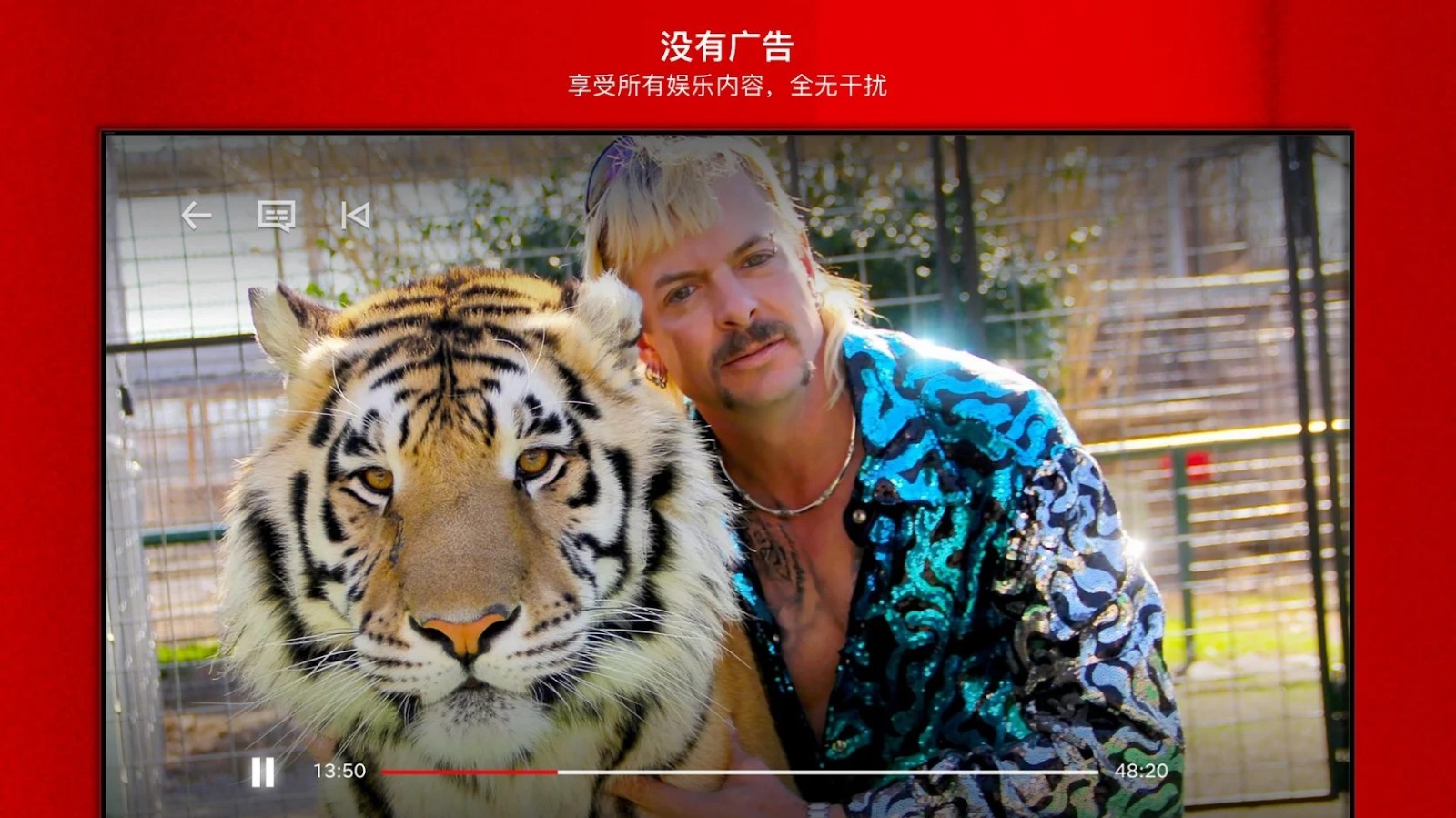 网飞netflix T