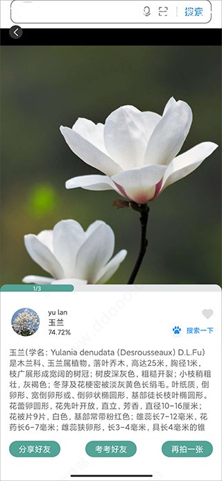识花君(图4) 识花君(图4)