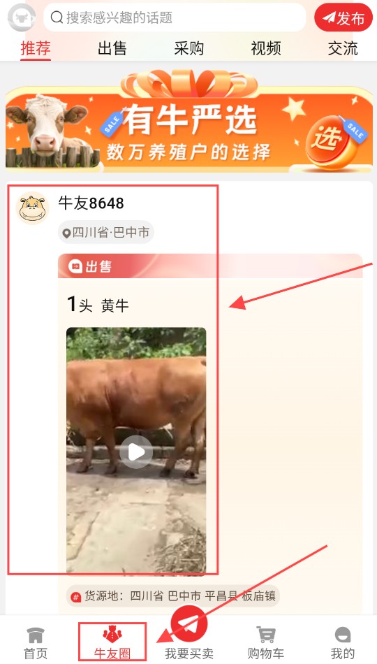 有牛(图2) 有牛(图2)