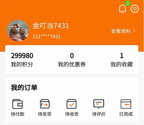金叮当(图1) 金叮当(图1)