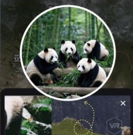 山水卫星地图高清版图片(图2) 山水卫星地图高清版图片(图2)