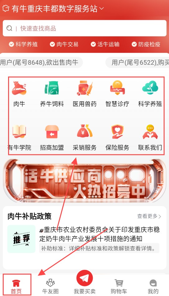 有牛(图1) 有牛(图1)