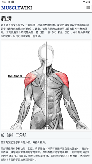 musclewiki中文建身(图5)