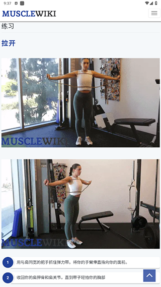 musclewiki中文建身(图6)