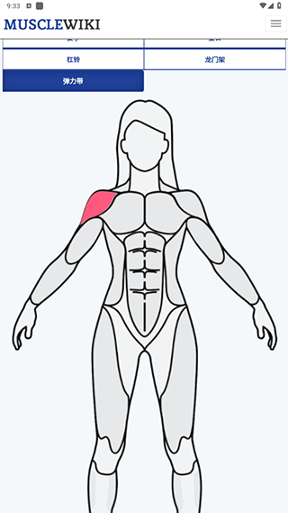 musclewiki中文建身(图4)