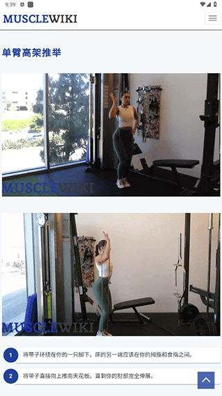 musclewiki中文建身(图7)
