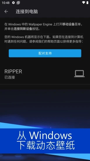 wallpaper麻匪红衣文件(壁纸引擎)