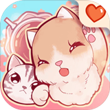 猫咪养成云撸猫