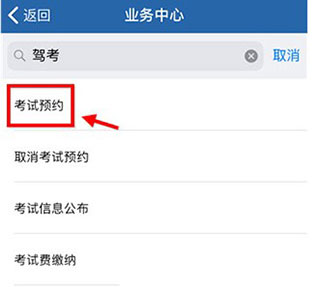 交管12123苹果版app(图1) 交管12123苹果版app(图1)