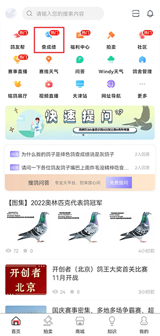 搜鸽网app(图2) 搜鸽网app(图2)