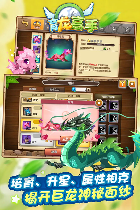 育龙高手4399版本