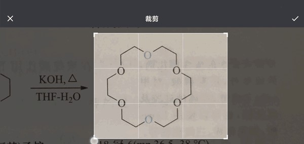 KingDraw手机版(图10) KingDraw手机版(图10)
