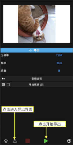 nodevideo2023最新版10