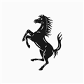 MyFerrari(我的法拉利)