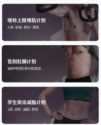 恒悦动