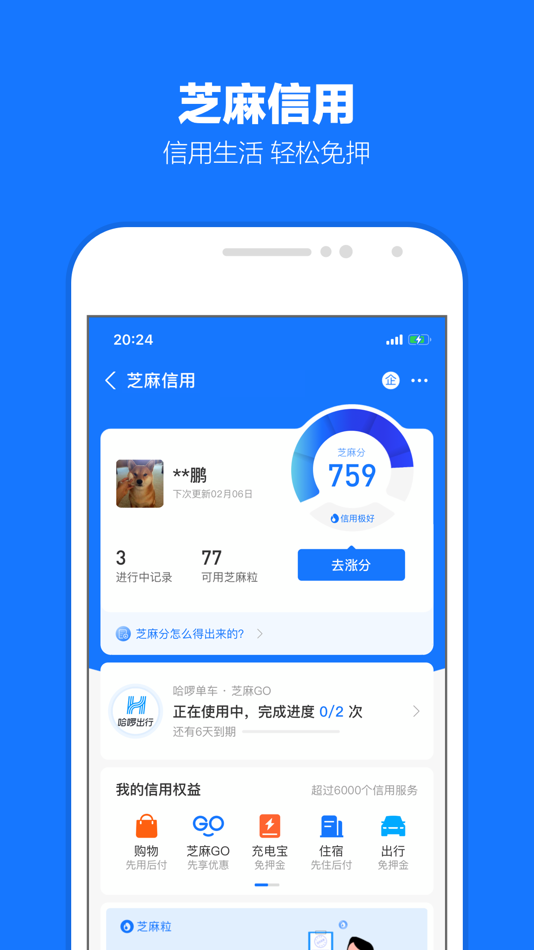 支付宝年度账单查询版2026
