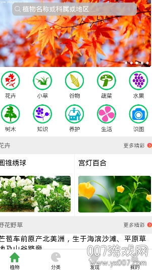 植物百科app官方版(图1) 植物百科app官方版(图1)