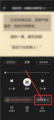 西瓜小说app(图4) 西瓜小说app(图4)