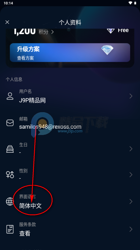 Echo AI聊天