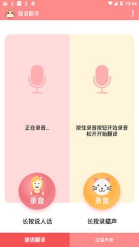 猫语(图1)