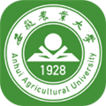 掌上安农