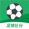 球掌柜