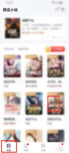 西瓜小说app(图6) 西瓜小说app(图6)