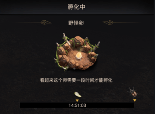 小小蚁国gm版(图1)