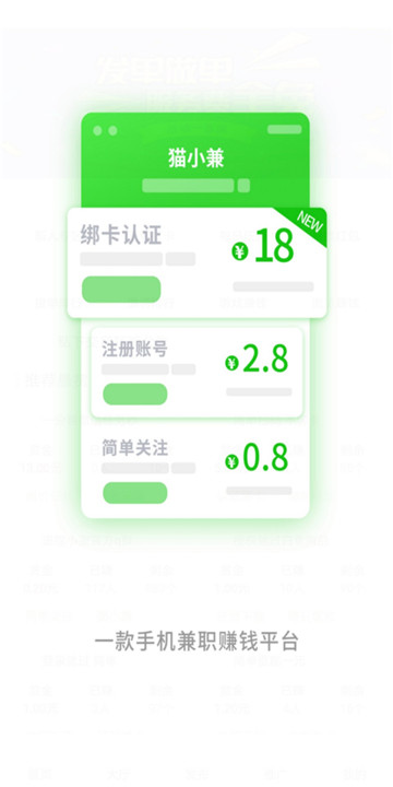 猫小兼(图1)